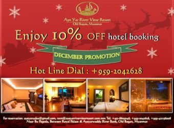 Christmas Discount